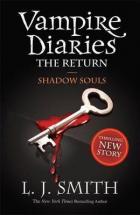 Vampire diaries : the return, shadow souls  /